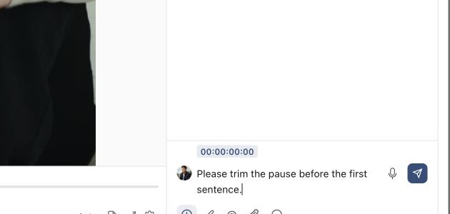 A timestamped media comment drafted at the relevant video moment