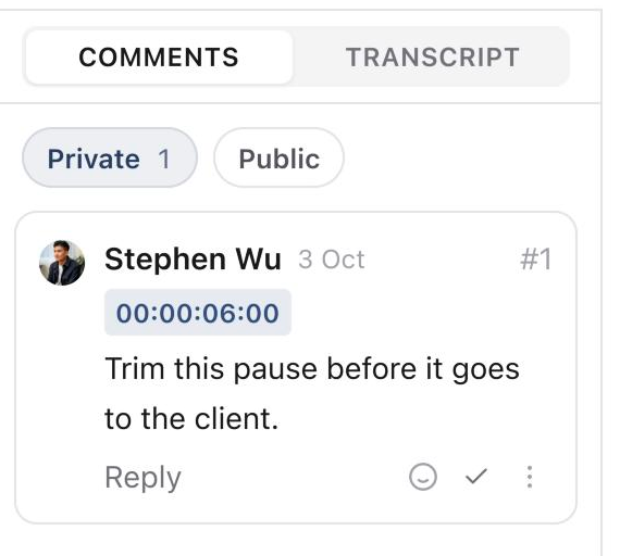 Media review with Private selected under Comments and Transcript, showing a private time-coded comment