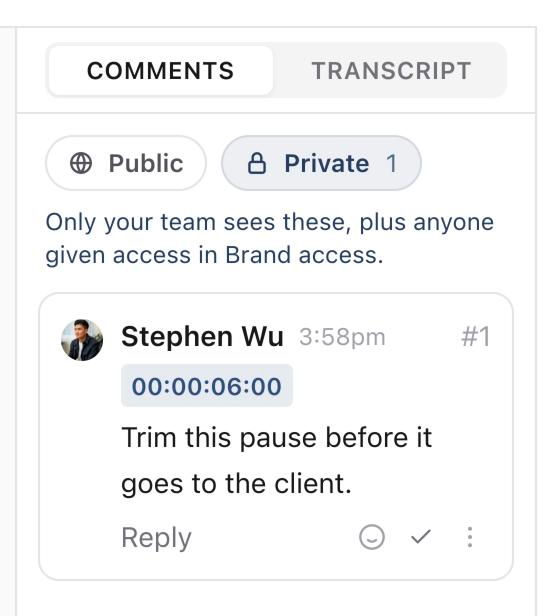 Media review with Private selected under Comments and Transcript, showing a private time-coded comment
