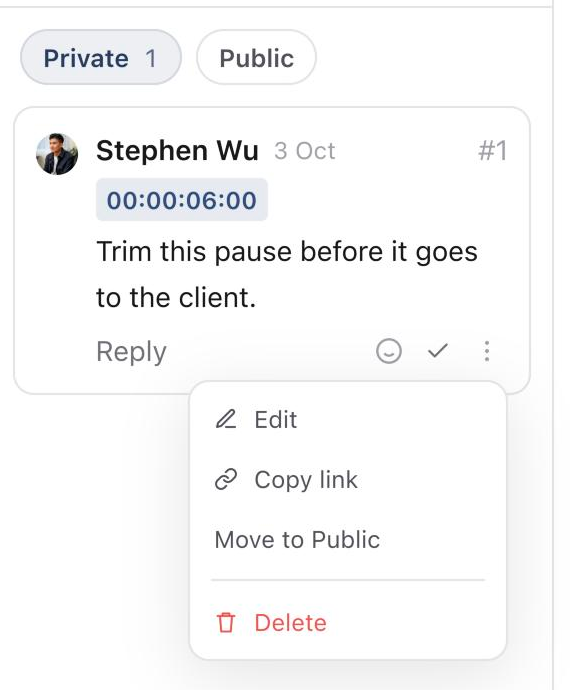 The More menu on a private comment, with Move to Public