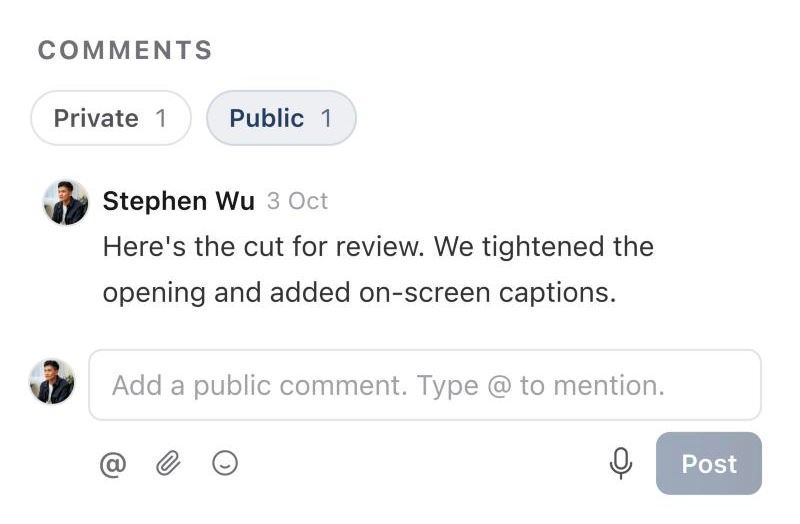 Comments with Public selected, showing a comment for the client and the Add a public comment box